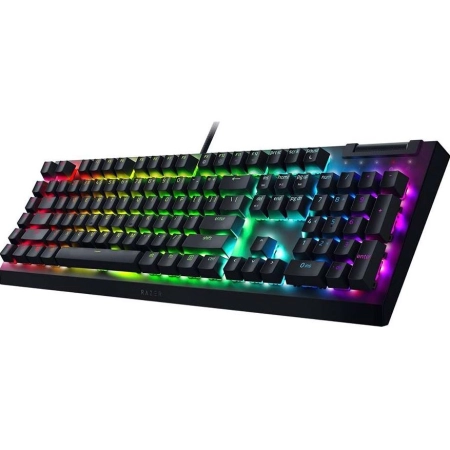 Razer Mehanička Tastatura Blackwidow V4 X Green Switch - additional image